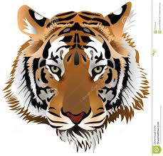 Japanese Tiger Tattoo Drawing Photo 1 All Tattoos For Men Draw a few basic shapes to start. all tattoos for men