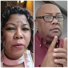 VAKY NY ADIN'NY DIASPORA MPANOHITRA : NOTORIAN'I FANIRISOA I FLEURY Nitory  an'i Fleury Rakotomalala eo amin'ireo ambaratongam-pahefana miaro ny zon'ny  vehivavy any Frantsa i Fanirisoa Ernaivo, noho ny ambarany fa fanasoketana  sy