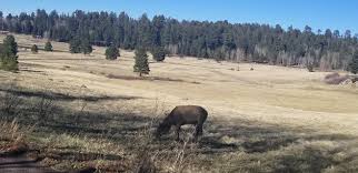 Campgrounds are available in the area for all types of camping from tent to rv's. Big Lake Arizona Posts Facebook