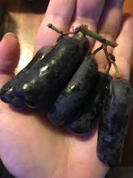 Are there any gmos in sweet sapphire grapes? Sweet Sapphire Grapes Mildlyinteresting
