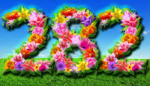 Image result for Ipomoea magnusiana