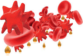 Immunthrombozytopenische purpura, hypersplenie (erhöhte ablagerung in dermilz). Lipidgehalt In Thrombozyten Eine Tickende Zeitbombe