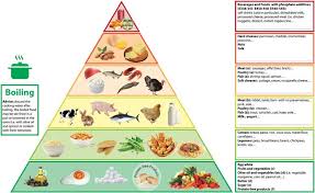 Pin On Food