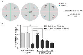 Alliance supplies sdn bhd located in malaysia melaka johor selangor, alliance supplies sdn. Molecules Free Full Text Beneficial Effects Of Cyclic Ether 2 Butoxytetrahydrofuran From Sea Cucumber Holothuria Scabra Against Ab Aggregate Toxicity In Transgenic Caenorhabditis Elegans And Potential Chemical Interaction Html
