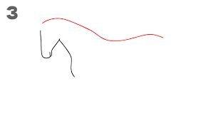The next step in drawing the horse or pony is to sketch in the basic shapes of the head, neck, and legs. Easy Drawing Of A Horse Step By Step