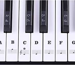 Conjugate the german verb beschriften: Suchergebnis Auf Amazon De Fur Beschriftung Piano Keyboard Musikinstrumente Dj Equipment