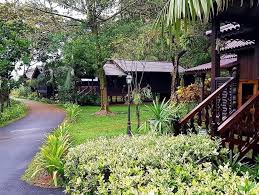 Boasting an outdoor swimming pool, keriang hill is set in alor setar and also provides a fitness center and a garden. Keriang Hill Resort Kembalikan Kehidupan Kampung Jelajah Maya