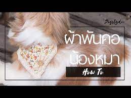 ว ธ ทำ ผ าพ นคอหมา แมว น าร กแบบท 1 pattern 01 youtube แมว