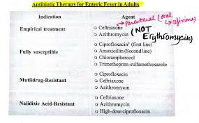 antibiotic therapy of enteric fever in adults typhoid