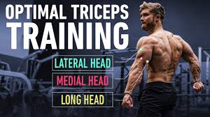 Keep in mind that no matter what exercises you pick, the tricep muscle as a whole will work and all heads will be active. How To Build Huge Triceps With Optimal Training Technique Youtube