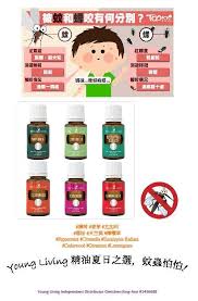 pin on diy recipes