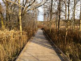 Vicki Barron Lakeside Trail Part 2