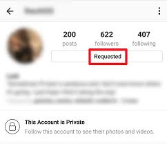 Here's more about these special accounts. How To View A Private Instagram Account