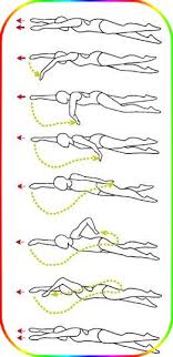 Swimming Freestyle Drills Teaching And Coaching