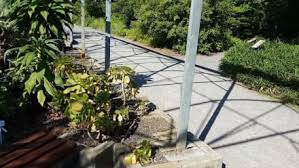 The following 66 files are in this category, out of 66 total. Botanischer Garten Bild Botanischer Garten Dresden In Dresden