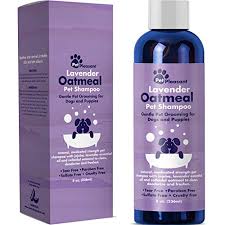 Dog Shampoo That Smells Like Baby Powder Light Fitness Com