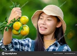 Young Farmer Women Asian Girl Holding Orange Hands Farm Agriculture — Stock  Photo © ShutterDin #510482294