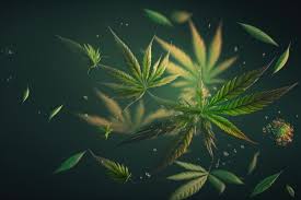 rejuvenate cbd gummies pure organic hemp extract