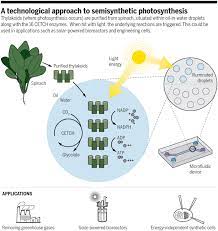 Check spelling or type a new query. Toward Artificial Photosynthesis Science