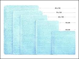 Rug Sizes Chart Savethefrogs2 Com