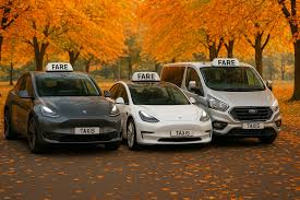 Taxi Options and Booking Information