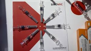Maksud Dan Arti Efikasi Vaksin China Sinovac 65 3 Persen
