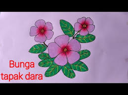 Cara menggambar bunga sakura juga cukup mudah kalian lakukan. Contoh Gambar Cara Mewarnai Gambar Bunga Kamboja Kataucap