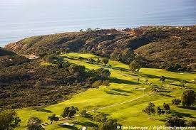 Rumble — hole by hole slideshow of torrey pines golf course home of multiple us opens and the farmers insurance open. Torrey Pines Golf Course Photos Golf Courses San Diego Golf Public Golf Courses