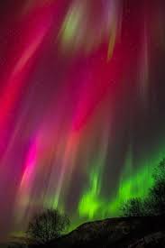 Pink Northern Lights Was Seen In Senja Island In Northern Norway Northern Lights Aurora Boreal Aurora Borealis Northern Lights
