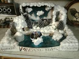 Tundra Biome In A Box Project Kamerons Biome Arctic Tundra Project For Science Intermediate School 5th Grade Science Projects Arctic Tundra