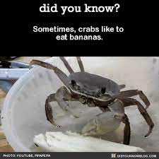 Pin On Funny And Interesting