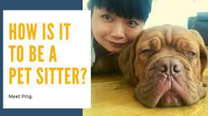 There's nothing simple about money. Practical Reasons To Get Insured And Bonded As A Pet Sitter Appjobs Blog
