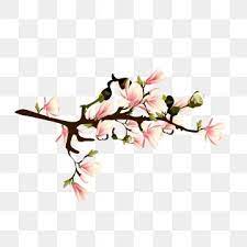 Hand Painted Realistic Wind Decorative Spring Peach Flower Peach Blossom Branch Peach Blossom Flower Png And Vector With Transparent Background For Free Down Peach Flowers Flower Png Images Spring Illustration