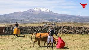 CIRCULO TAURINO DEL CENTRO: FRANCO SALCEDO, TORERO DE ALTURAS