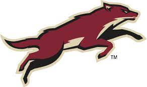The official arizona coyotes team colors are brick red, desert sand and black. Arizona Coyotes Logo History