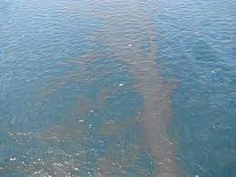 Deepwater horizon oil spill, largest marine oil spill in history, caused by an april 20, 2010, explosion on the deepwater horizon oil rig—located in the gulf of mexico, approximately 41 miles (66 km) off the coast of louisiana—and its subsequent sinking on april 22. Deepwater Horizon Oil Spill Summary Effects Cause Clean Up Facts Britannica