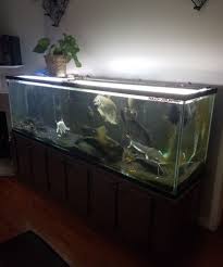 200 Gallon Fish Tank Aquarium With Stand And Lid With Led Lighting Fishtank Aquariums 200 Gallon Fish Tank Led Aquarium Lighting Aquarium Lighting