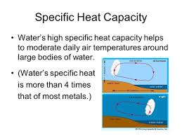 In your answer, make sure to include a description of what equipment you would use and how you would interpret the data you collected. What Is The Importance Of The Specific Heat Capacity Of Water In Relation To Life Quora