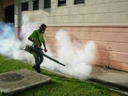 You will certainly want to locate a pest control company in san francisco, ca that you really feel comfy dealing with, which has a great track record within the area. Pest Control San Francisco Pest Control Services San Francisco Father Son Pest Control San Francisco Ca