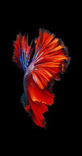 New Iphone 6s Wallpapers Top Free New Iphone 6s Backgrounds Wallpaperaccess Cool iphone 6 background hd. new iphone 6s wallpapers top free new