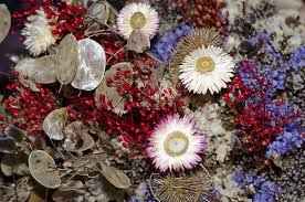 Silica gel desiccant is designed to remove excess moisture from enclosed spaces. Diy Flower Drying Enjoy Fresh Flowers A Second Time By Drying Avas Flowers