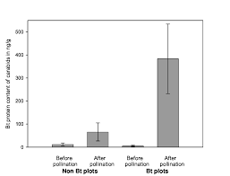 bar charts show the mean cry3bb1 bt protein content fresh