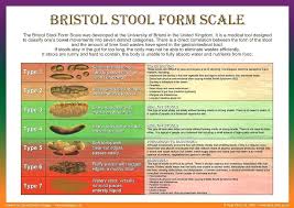 Bristol Stool Chart Meaning Google I Otsing In 2020 Bristol Stool Scale Bristol Stool Chart Natural Medicine Quotes