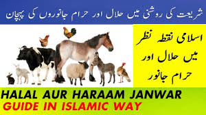 Second , any animal that the prophet, may allah's peace and blessings be upon him, commanded to kill is haram to eat, such as the snake, the crow and the mouse. Is Eat Zebra Haram Or Halal For Islam