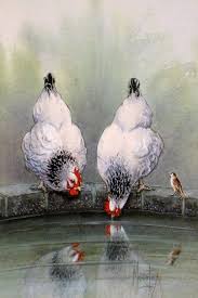 Pin De Suna Em Chicken Stuff Pintor De Animais Pinturas De Passaros Desenho De Aves