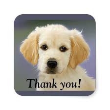 Cute White Puppy Thank You Sticker Zazzle Com In 2021 Cute White Puppies Newborn Puppy Care Newborn Puppies