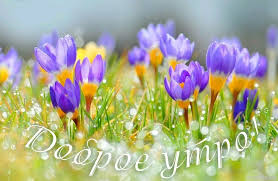 поздравление с днем рождения бабушке своими словами до слез Pin By Julya On 1 Pretty Flowers Spring Blossom Flowers