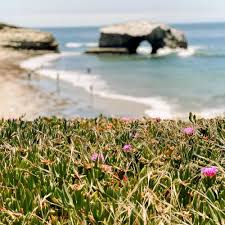 TOP 10 BEST Nudist Beach in Santa Cruz, CA - Updated 2025 - Yelp