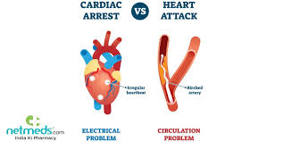 A heart attack is not the same as a cardiac arrest. Cardiac Arrest Causes Symptoms And Treatment