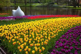Keukenhof The Netherlands Most Beautiful Gardens Garden Photography Beautiful Gardens